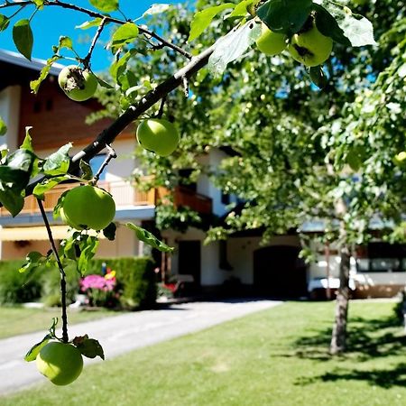 Haus Obermoser Dellach im Drautal Екстериор снимка