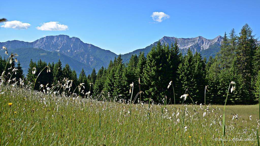 Haus Obermoser Dellach im Drautal Екстериор снимка