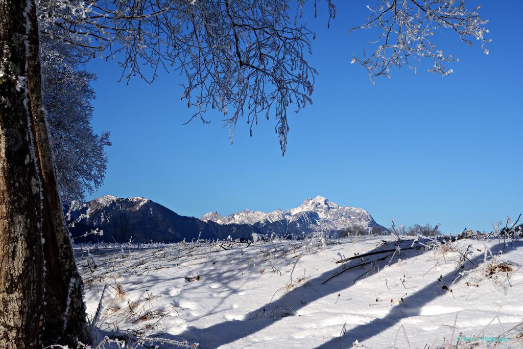 Haus Obermoser Dellach im Drautal Екстериор снимка